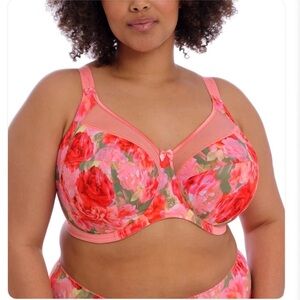 Goddess Kayla Support Underwire Bra (6162) - Rose Garden Size 38I